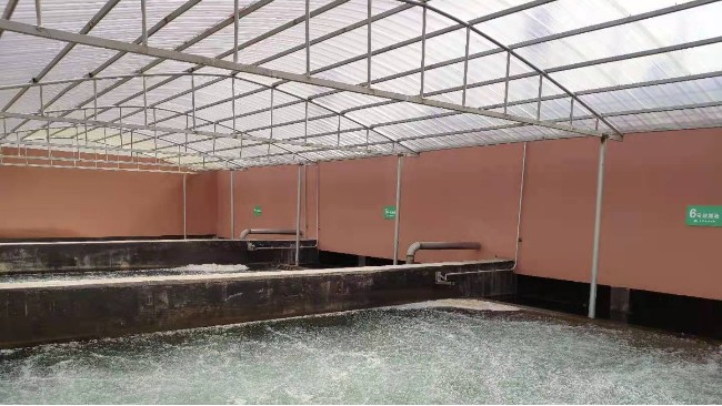 博取COD、氨氮及總磷分析儀應用于江西農村污水廠水質的監測